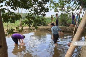 Người tiên phong khai phá con đường du lịch nông nghiệp nông thôn