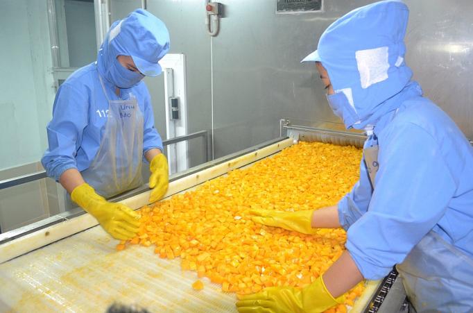 Nông sản Việt làm gì để chinh phục thị trường Nhật?