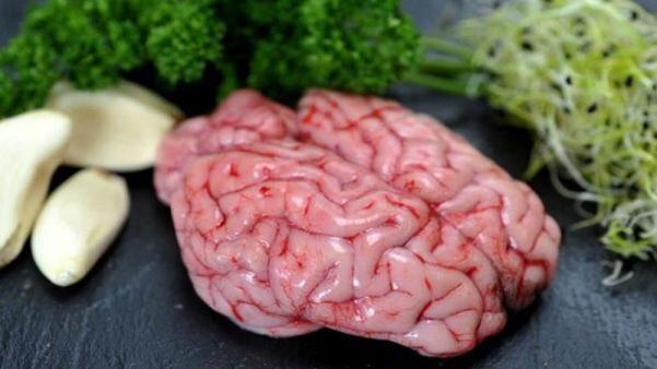 7 bài thuốc phòng, chữa bệnh từ não động vật