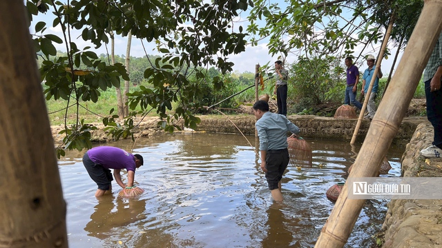 Người tiên phong khai phá con đường du lịch nông nghiệp nông thôn